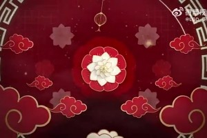 DB视讯官网LGD官方发布选手祝福视频：蛇年已至，龙凤呈祥