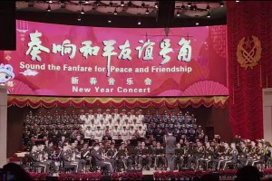 DB视讯官方登录入口国防部新春招待会 中国人民解放军军乐团演奏黑神话悟空版《云宫迅音》