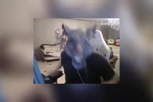 DB真人旗舰姿态做情商测试题花20块钱看报告：这钱一付感觉我智力是真有问题