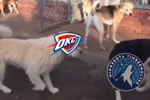 DB真人旗舰🔥火到国外了！俄城警察局P图庆祝雷霆西部冠军：狗王来也~